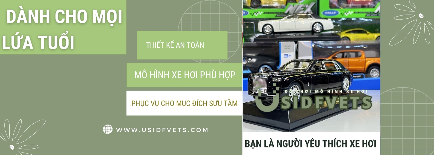 image slide banner home page Đồ chơi mô hình xe hơi usidfvets (3)